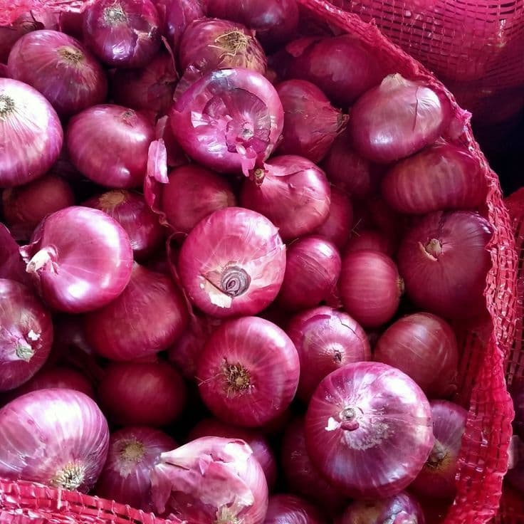 Fresh Onions